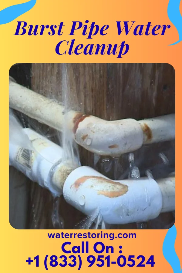 Burst Pipe Water Cleanup in Bagley, WI