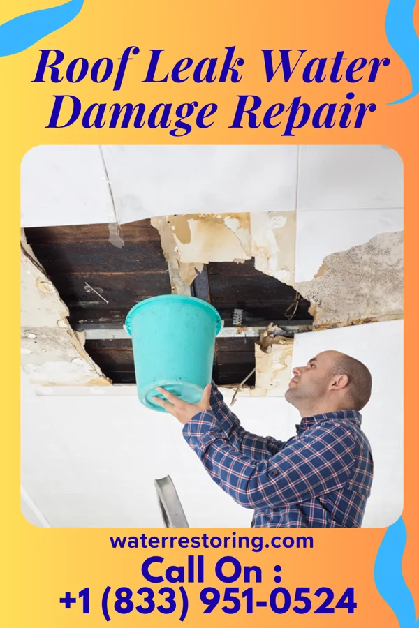 Roof Leak Water Damage Repair in Bagley, WI