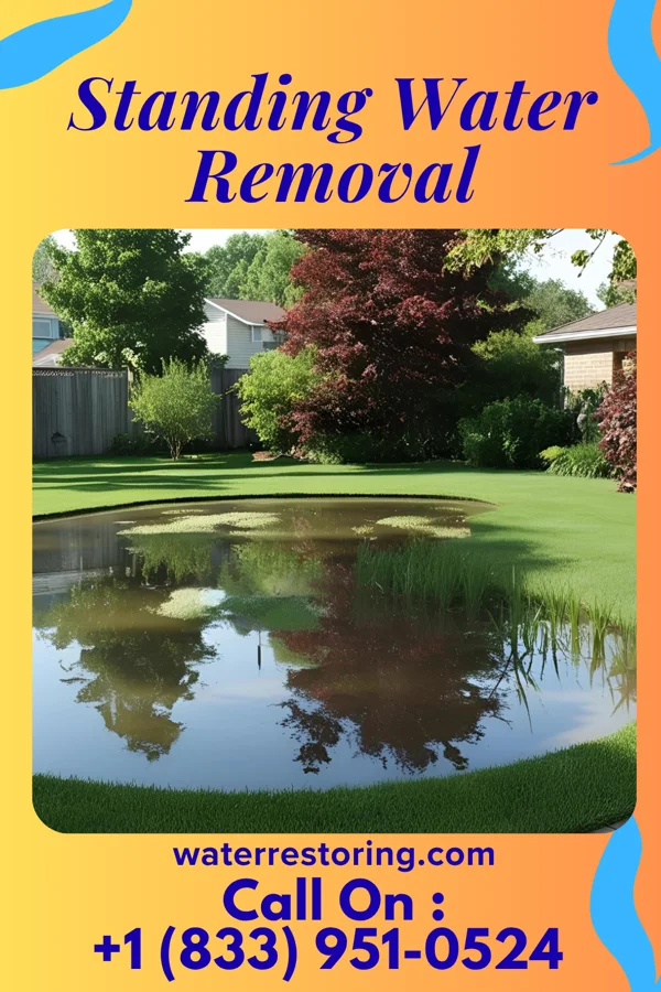 Standing Water Removal in Bagley, WI
